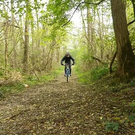 Mitoyen Avec Terrasse Pour 4 Personnes - Api-1-52-198 אתר קמפינג