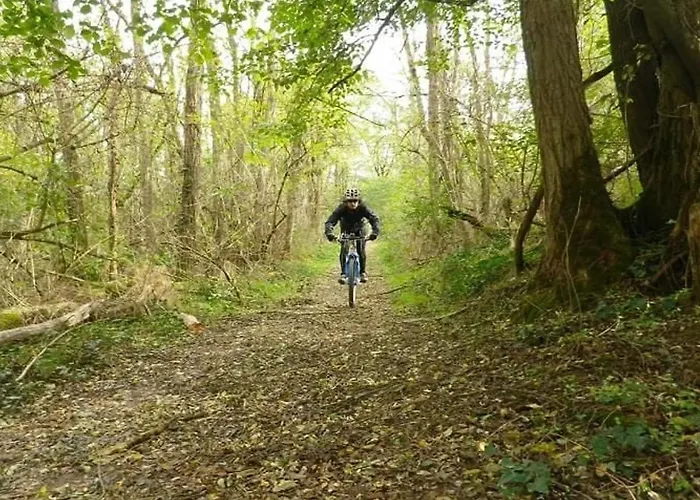Mitoyen Avec Terrasse Pour 4 Personnes - Api-1-52-198 Kemp